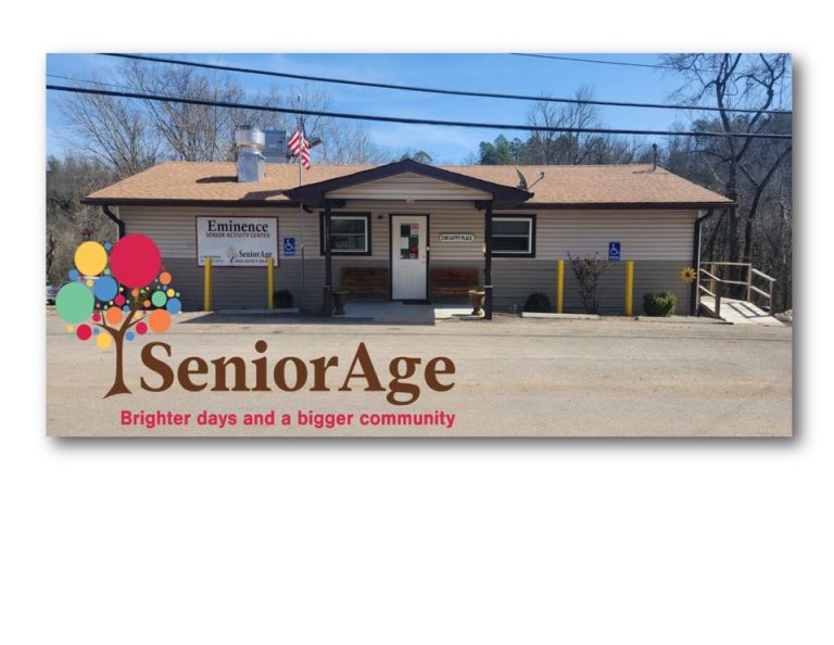 430695792 443881811637216 8941762869328915967 n 768x594