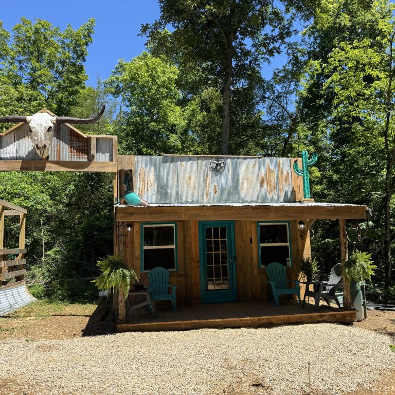 448049052 431220766426489 3056139359444601124 n 768x768